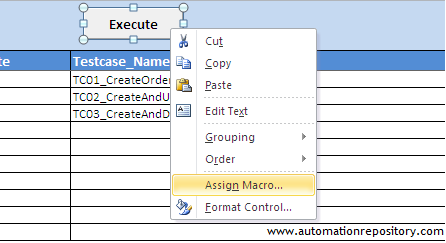 Assign macro to execute button